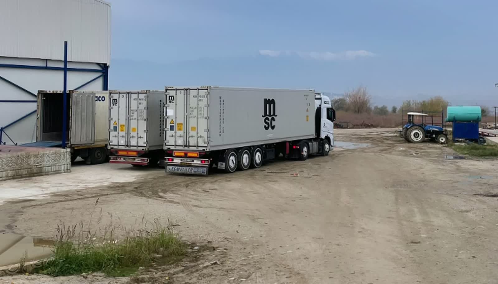 Export & logistics